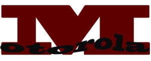 Logo of Motorola Company